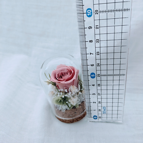プリザーブドフラワー／ミニガラスドーム セピアピンクローズのミニ