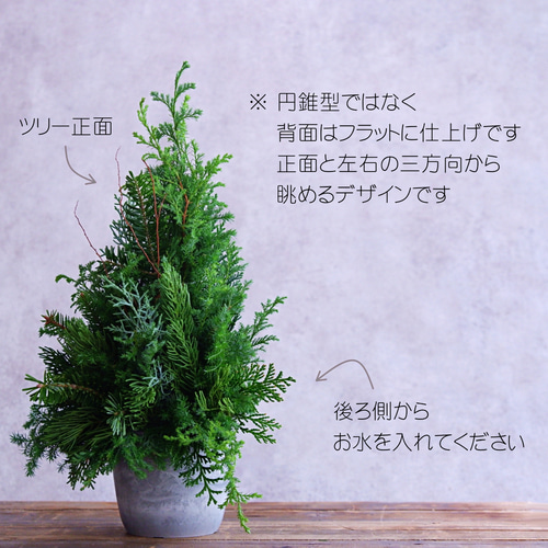 卓上クリスマスツリー 30cm 生花・針葉樹｜野ばらの実＆ゴールド系