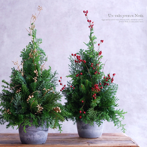 卓上クリスマスツリー 30cm 生花・針葉樹｜野ばらの実＆ゴールド系
