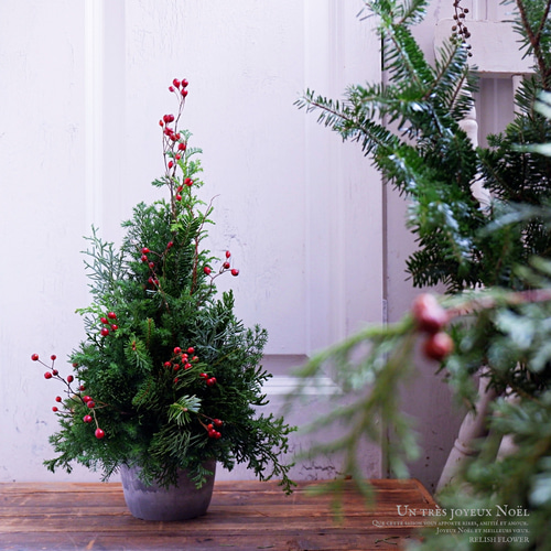 卓上クリスマスツリー 30cm 生花・針葉樹｜野ばらの実＆ゴールド系