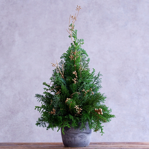 卓上クリスマスツリー 30cm 生花・針葉樹｜野ばらの実＆ゴールド系