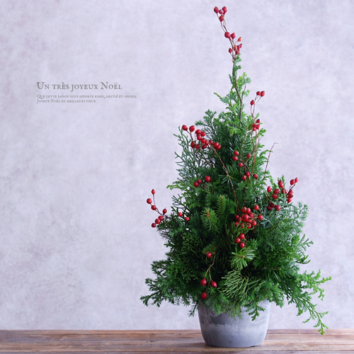 卓上クリスマスツリー 30cm 生花・針葉樹｜野ばらの実＆ゴールド系