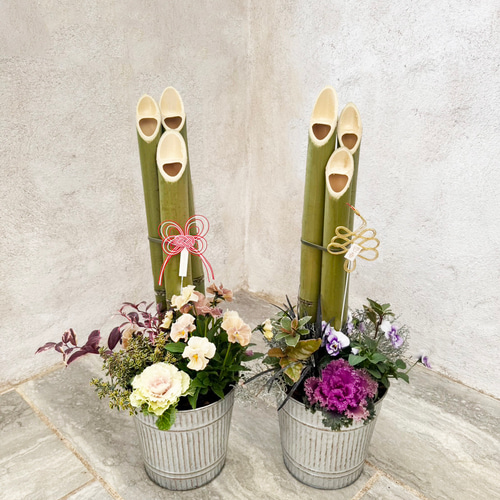 自分でつくる門松【門松寄せ植えキット2025】作り方動画付き！ 盆栽