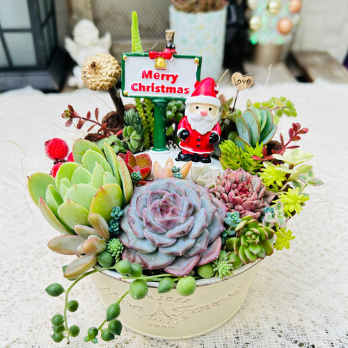 このまま飾れます】可愛い♡多肉の森のクリスマス 多肉植物寄せ植え