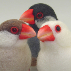 本トリ No.105 桜文鳥 14号 / 羊毛フェルト リアルサイズ 羊毛フェルト