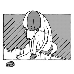 どうぶつポストカード 4枚目の画像