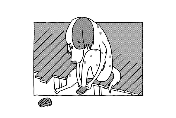 どうぶつポストカード 4枚目の画像