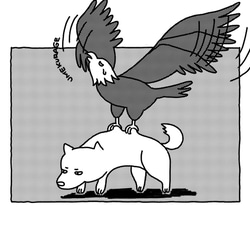 どうぶつポストカード 6枚目の画像