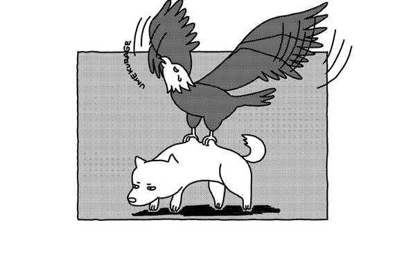 どうぶつポストカード 6枚目の画像