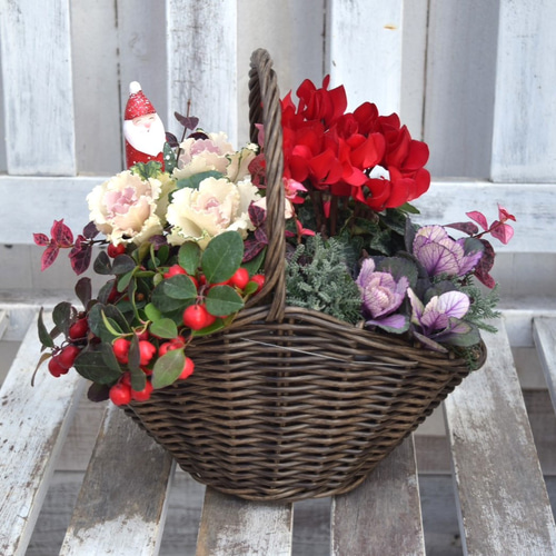 正月以降も楽しめるおしゃれな「クリスマス」寄せ植え ※寄せ植えセット