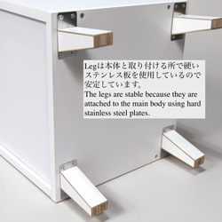 LPレコード収納 | アクリル付き扉 | おしゃれなキャビネット | レコードラック・ディスプレイ棚・ターンテーブル台 7枚目の画像