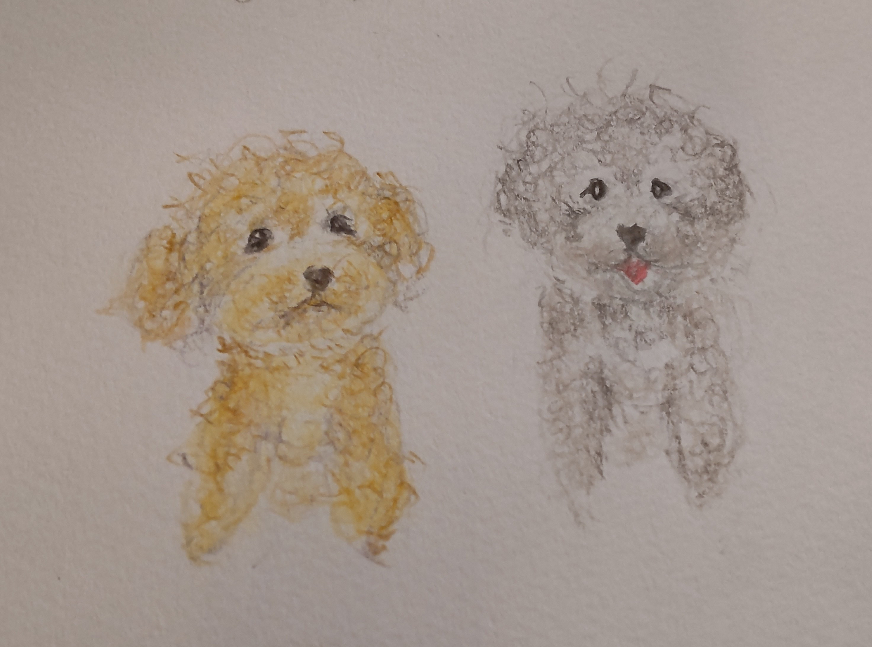 動物似顔絵