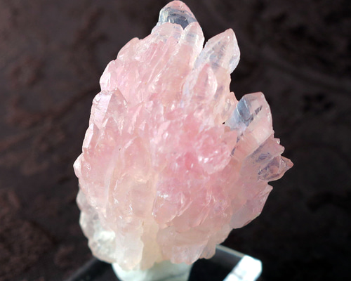 1ebc3cf812a45afc15f7e47308c897