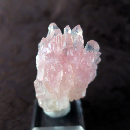 値下げしました☆レア！スターローズクォーツ　約3.64kg 直径約140mm スターローズクォーツ ラウンド8mm 1連（ブレス）｜天然石ビーズの卸