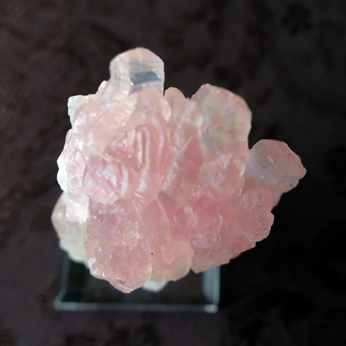 一点物】ローズクォーツ クラスター フラワー 181.00ct｜原石・鉱物