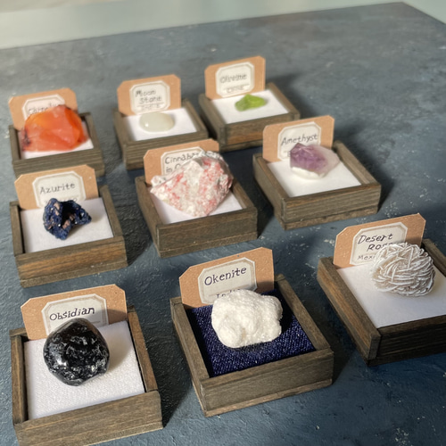 九種の鉱物の標本箱 九種の鉱物セットの標本箱 その他インテリア雑貨 三畳紀雑貨理科