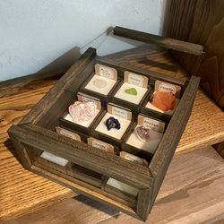 アルソトミラの種子標本箱 その他インテリア雑貨 三畳紀雑貨理科室