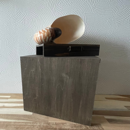 オウムガイの標本箱 その他インテリア雑貨 三畳紀雑貨理科室 通販