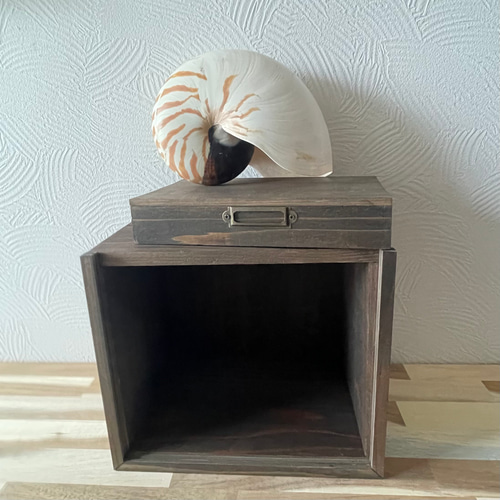 オウムガイの標本箱 オウムガイの標本箱 その他インテリア雑貨 三畳紀雑貨理科室 通販