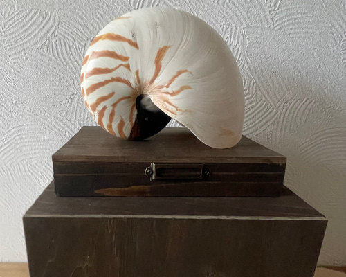 e3839dbd9ec1518288f9d9014b89a7