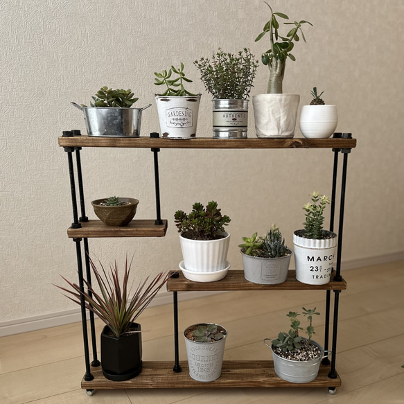 オープンシェルフ 観葉植物棚 多肉植物棚 塊根植物 飾り棚 コレクションラック 什器 マルシェ什器 棚・シェルフ・ラック ONE.HANDCRAFT 通販|Creema(クリーマ) 18627763 オープンシェルフ 観葉植物棚 多肉植物棚 塊根植物 飾り棚 コレクションラック 什器 マルシェ什器 棚・シェルフ・ラック ONE.HANDCRAFT 通販|Creema(クリーマ) 18627763