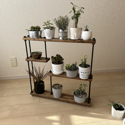 アイアンディスプレイ マルシェ什器 多肉植物棚 卓上
