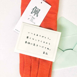 狗狗護臂：柴犬黑色款 + 4 款限量版顏色，日本製造，100% 羊毛腕巾，禮品 第8張的照片