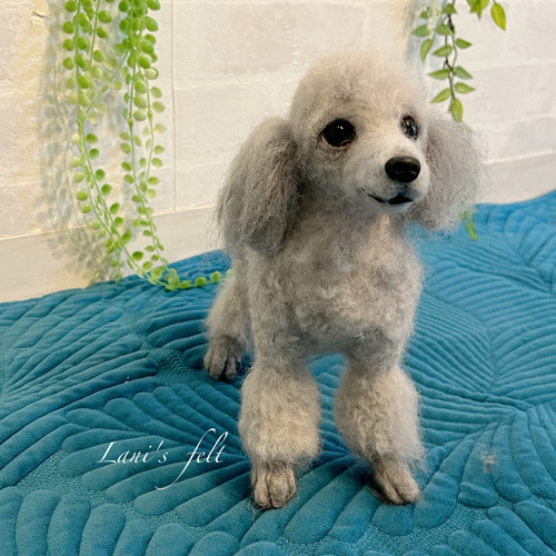 羊毛フェルト トイプードル グレー 犬 羊毛フェルト Daisy 通販 羊毛フェルト トイプードル グレー 犬 羊毛フェルト Daisy 通販