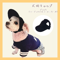 わんちゃんの目や頭を守る犬用帽子 ⭐︎岡山デニム生地