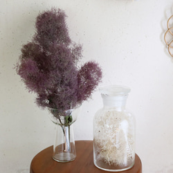 ドライフラワー】スモークツリー レッド 系 ナチュラル かわいい