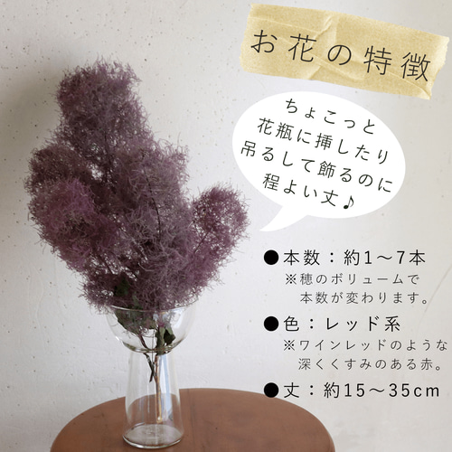 ドライフラワー】スモークツリー レッド 系 ナチュラル かわいい