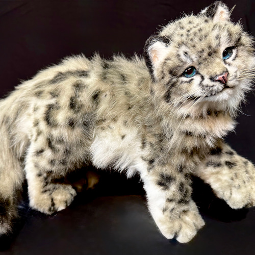 ユキヒョウベビー♡赤ちゃん♡アートドール♡ぬいぐるみ♡ ユキヒョウ