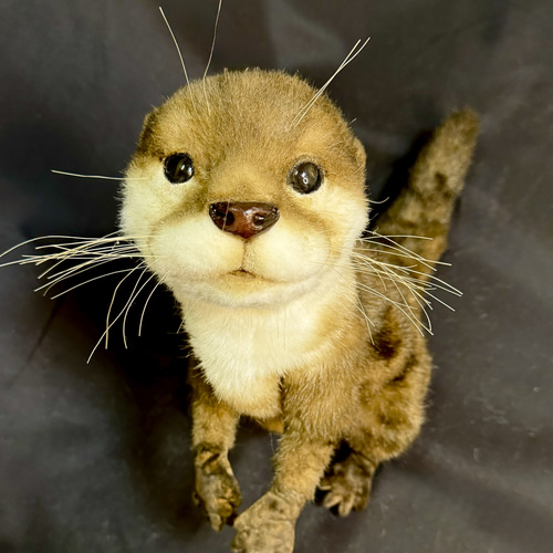 全身可動】カワウソ ぬいぐるみ Naco* 通販 18629699｜Creema(クリーマ