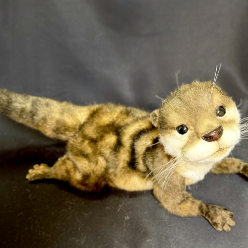 全身可動】カワウソ ぬいぐるみ Naco* 通販 18629699｜Creema(クリーマ