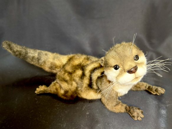 全身可動】カワウソ ぬいぐるみ Naco* 通販 18629699｜Creema(クリーマ