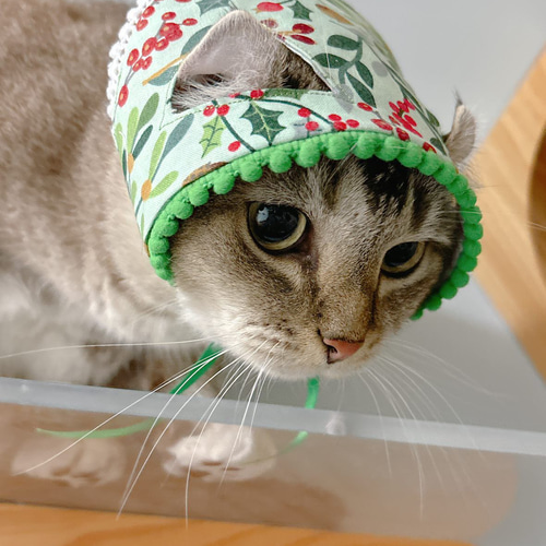 ねこさんのクリスマスバブーシュカ 三角頭巾 ペット服・アクセサリー