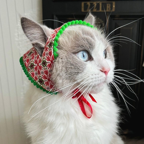 ねこさんのクリスマスバブーシュカ 三角頭巾 ペット服・アクセサリー
