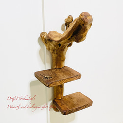 流木インテリア 自由にアレンジできる流木板のウォールシェルフ ラック ディスプレイ 壁掛け 棚 北欧 N3 7枚目の画像