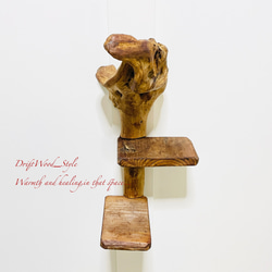 流木インテリア 自由にアレンジできる流木板のウォールシェルフ ラック ディスプレイ 壁掛け 棚 北欧 N3 12枚目の画像