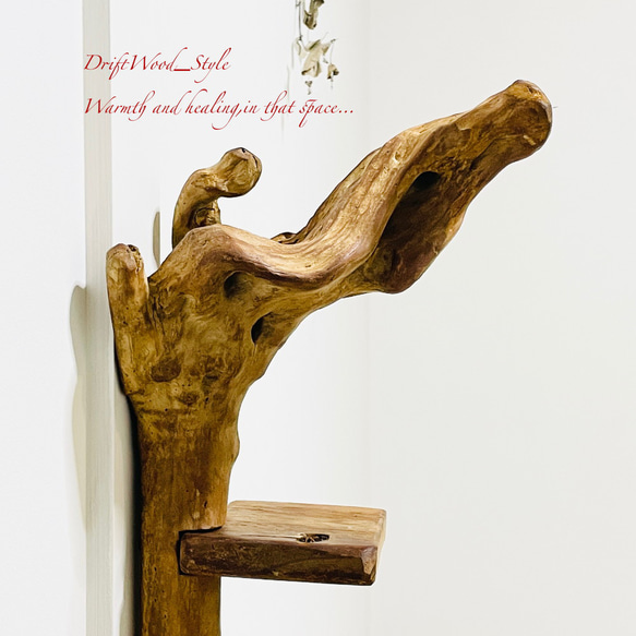流木インテリア 自由にアレンジできる流木板のウォールシェルフ ラック ディスプレイ 壁掛け 棚 北欧 N3 9枚目の画像