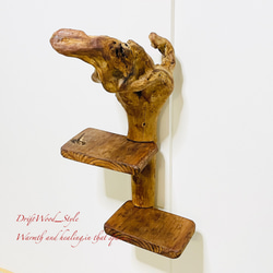 流木インテリア 自由にアレンジできる流木板のウォールシェルフ ラック ディスプレイ 壁掛け 棚 北欧 N3 8枚目の画像