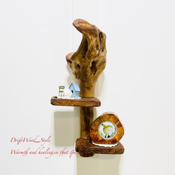 流木インテリア 自由にアレンジできる流木板のウォールシェルフ ラック ディスプレイ 壁掛け 棚 北欧 N3 1枚目の画像