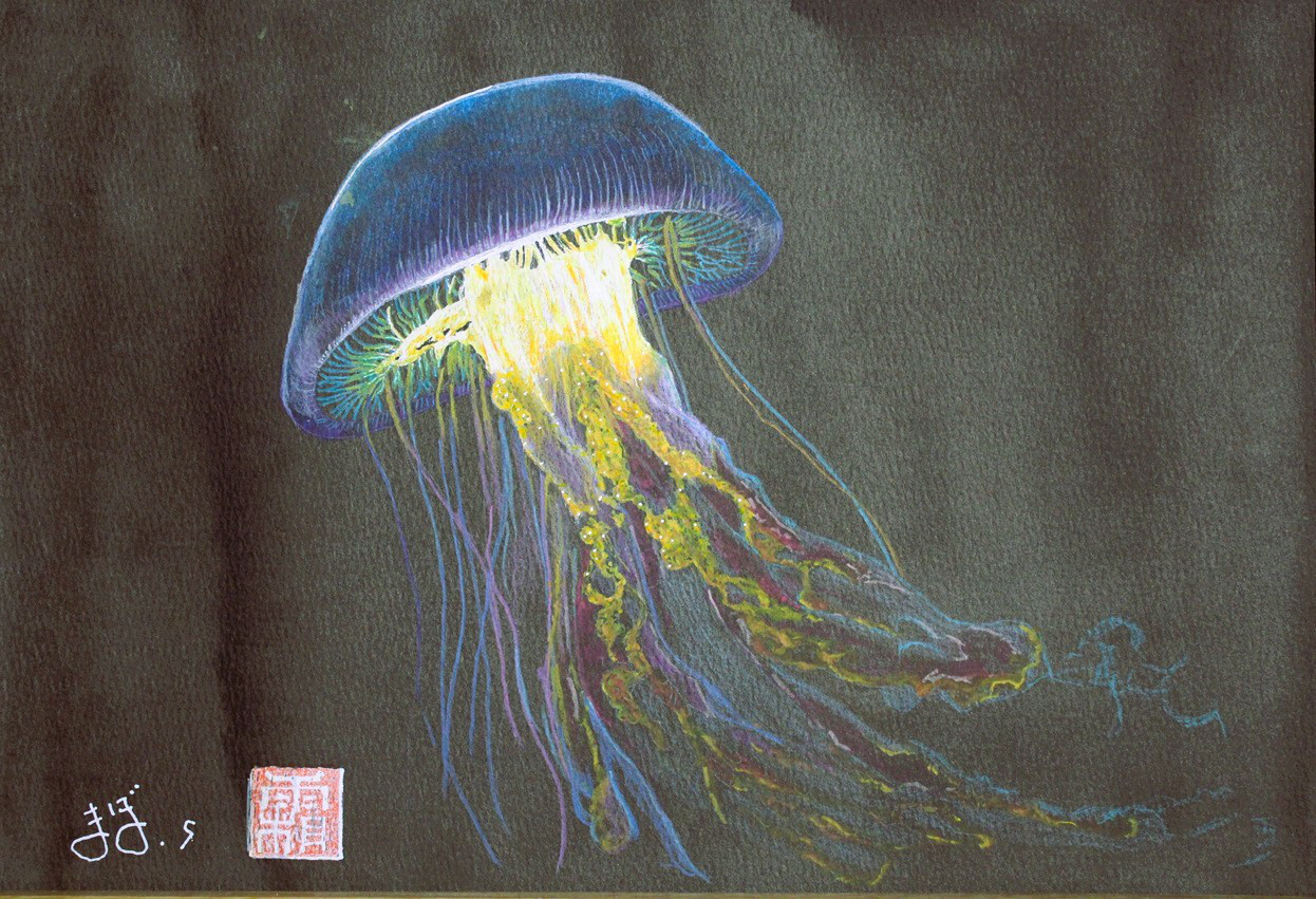 水彩　クラゲ　原画　額無　送料無料