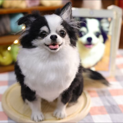 もも様 羊毛フェルト チワワ ハンドメイド 犬 トミ〜様専用 羊毛フェルト チワワ リクエスト ハンドメイド 犬