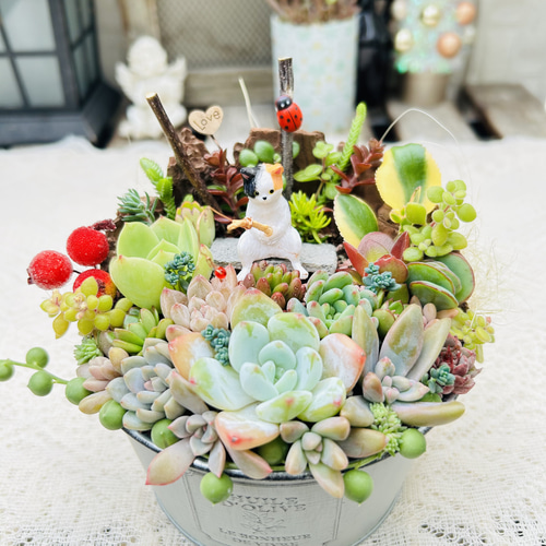 豪華❤️モリモリ❤️☆切り株風☆多肉植物☆寄せ植え