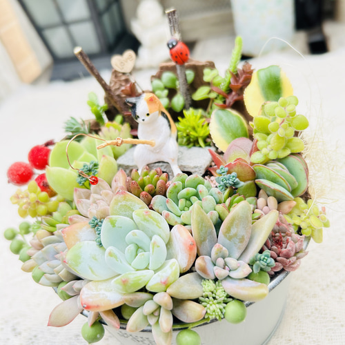 このまま飾れます)】人気シリーズ♡可愛い♡釣り猫さん 多肉植物