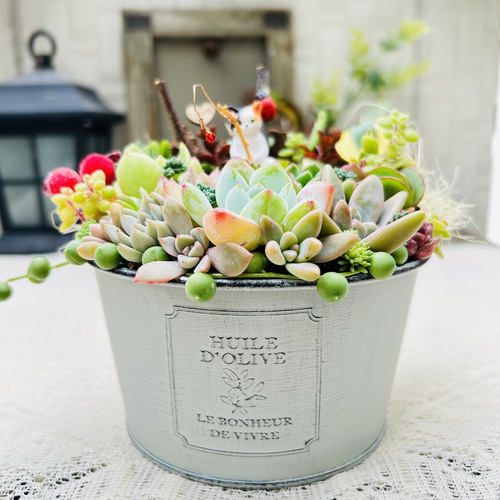 専用【復活*樽猫】そのまま飾れる多肉植物の寄せ植え*釣り猫*新樽猫バージョン 楽天市場】多肉植物 寄せ植え ギフト プレゼント 「猫さんの