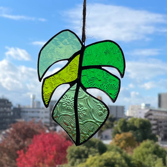 ステンドグラス モンステラの葉 サンキャッチャー Neeedleee 通販  