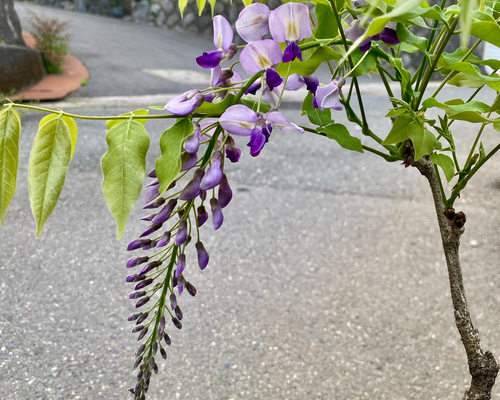 d236a807350af38c7b766fcd016ceb