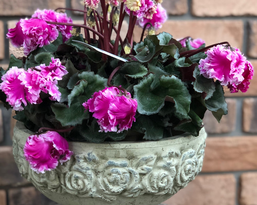 6a82634ed27d80847b5aebb06f5464